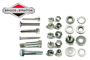 Schroeven & bouten voor Briggs & Stratton